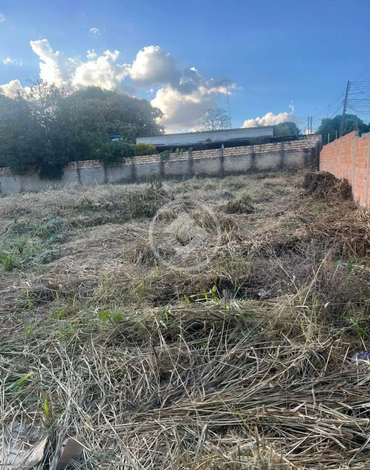 Imagem 2 - Terreno em Cidade Livre, Aparecida de Goiânia - GO