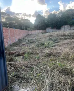 Terreno Cidade Livre, Aparecida de Goiânia - GO — foto 2