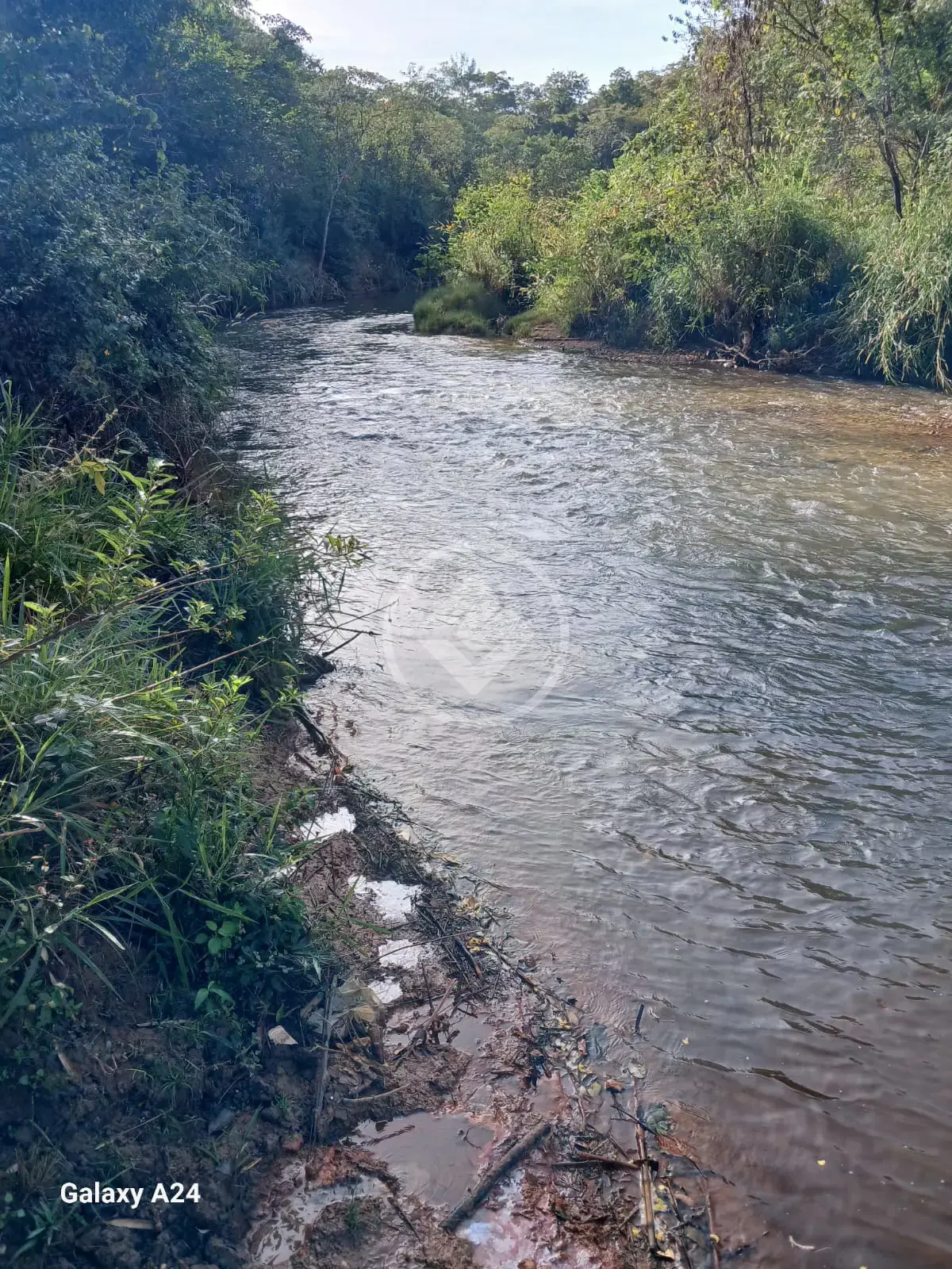 Imagem 1 - Chácara em Zona rural, Aragoiânia - GO