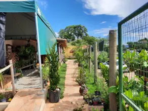 Imagem 2 - Terreno Comercial em Centro, Goiás - GO