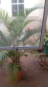Imagem 4 - Apartamento em Jardim São José, Goiânia - GO
