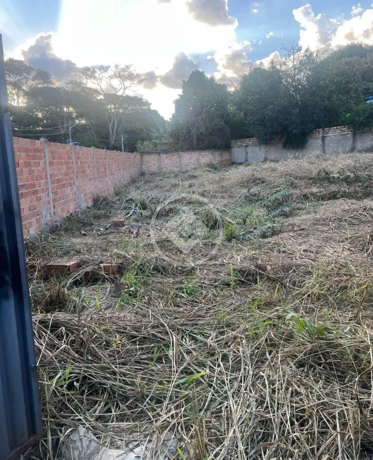 Imagem 4 - Terreno em Cidade Livre, Aparecida de Goiânia - GO