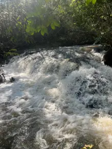 Imagem 3 - Sítio em Aldeia dos Sonhos, Hidrolândia - GO