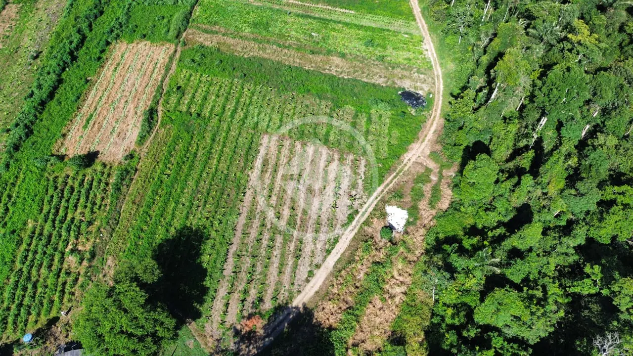 Imagem 6 - Sítio em Zona Rural, Vera - MT