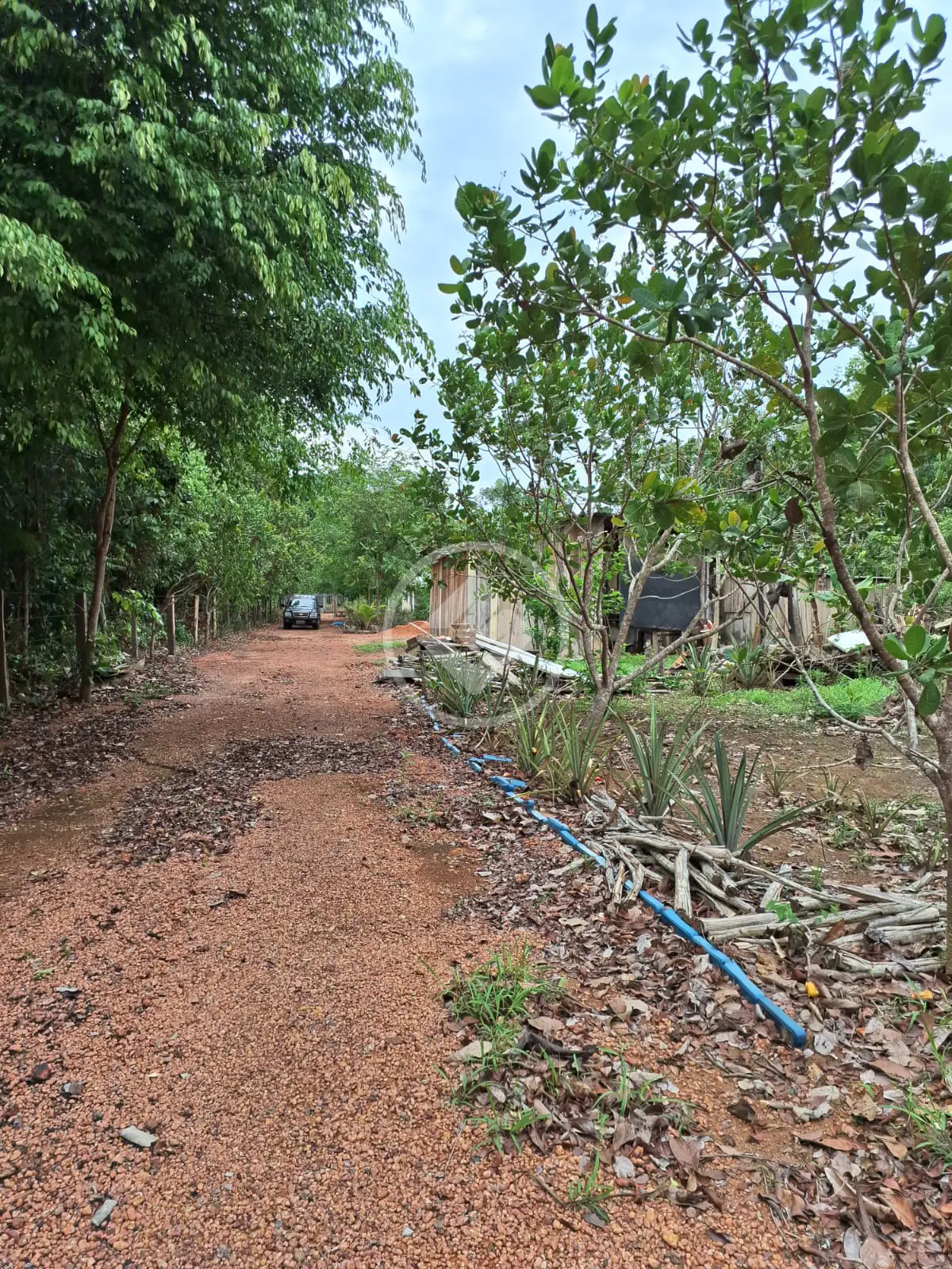 Chácara ZONA RURAL, Santa Carmem - MT — foto 2