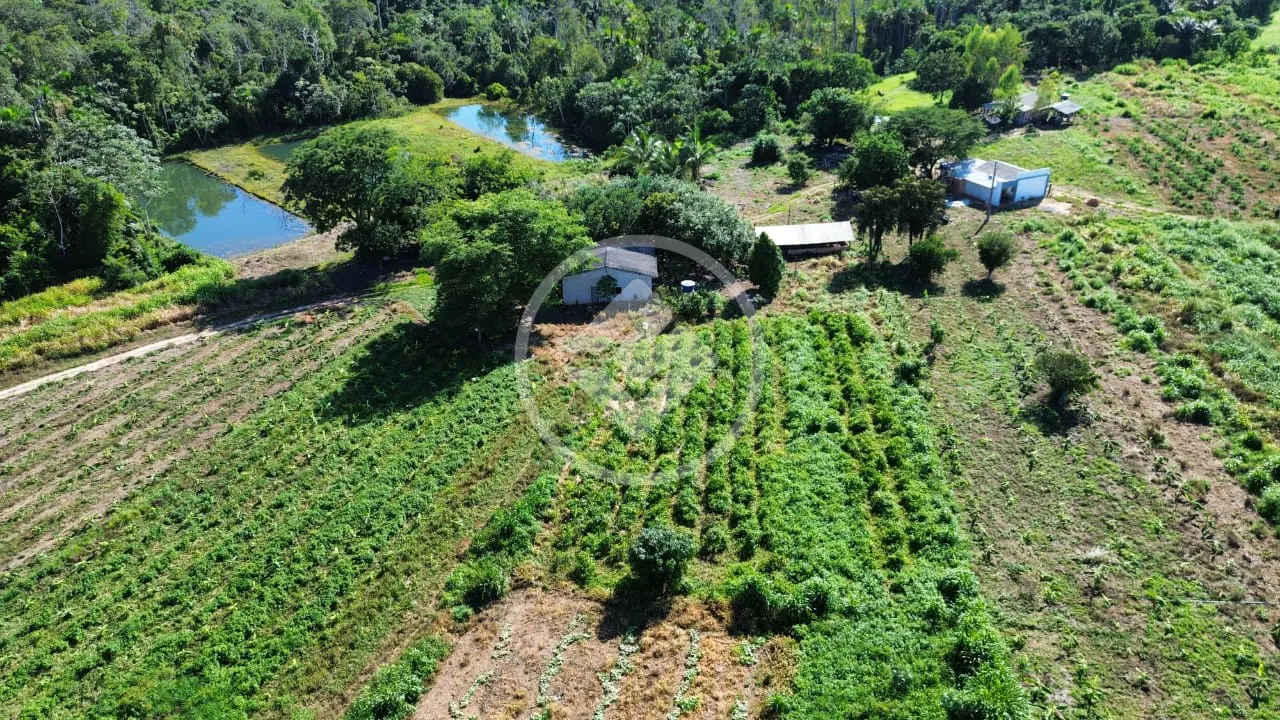 Sítio Zona Rural, Vera - MT — foto 1