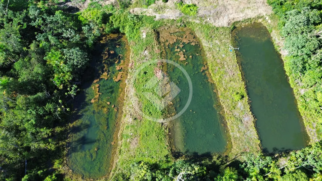 Imagem 2 - Sítio em Zona Rural, Vera - MT