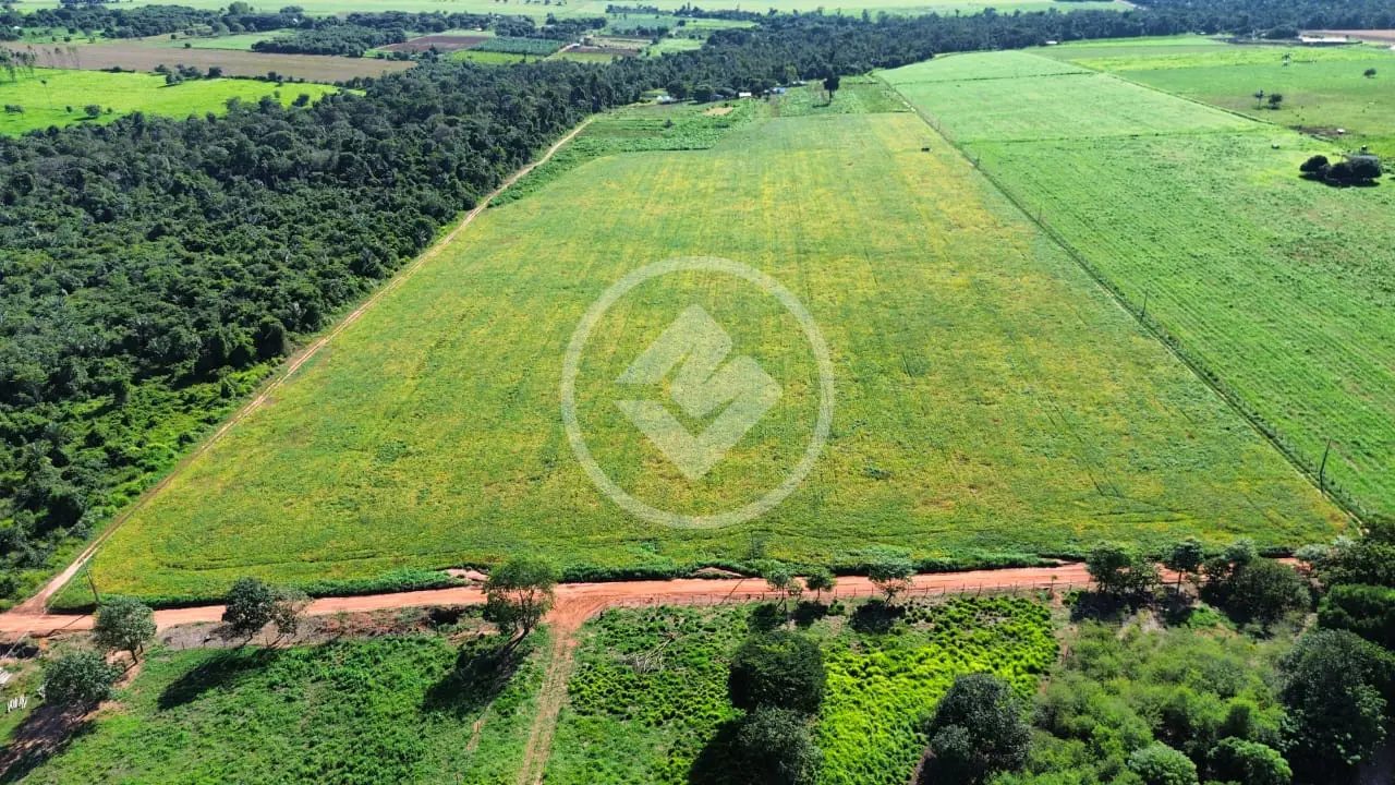 Sítio Zona Rural, Vera - MT — foto 2