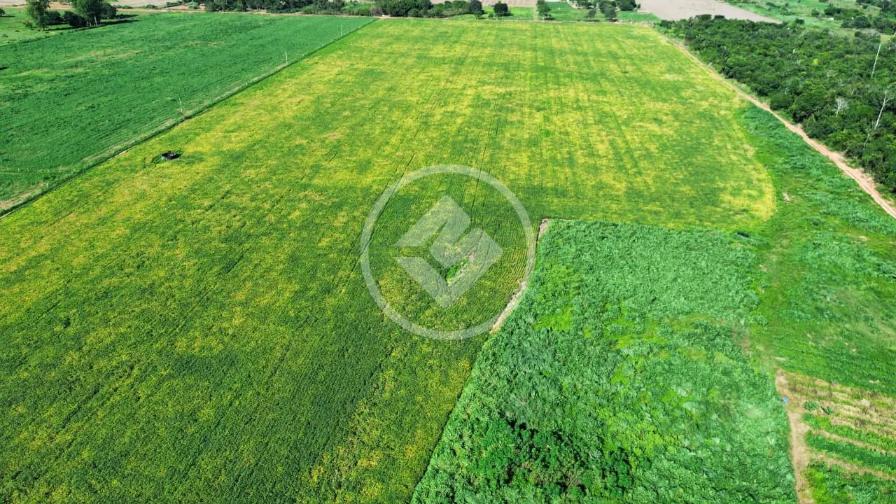 Imagem 5 - Sítio em Zona Rural, Vera - MT