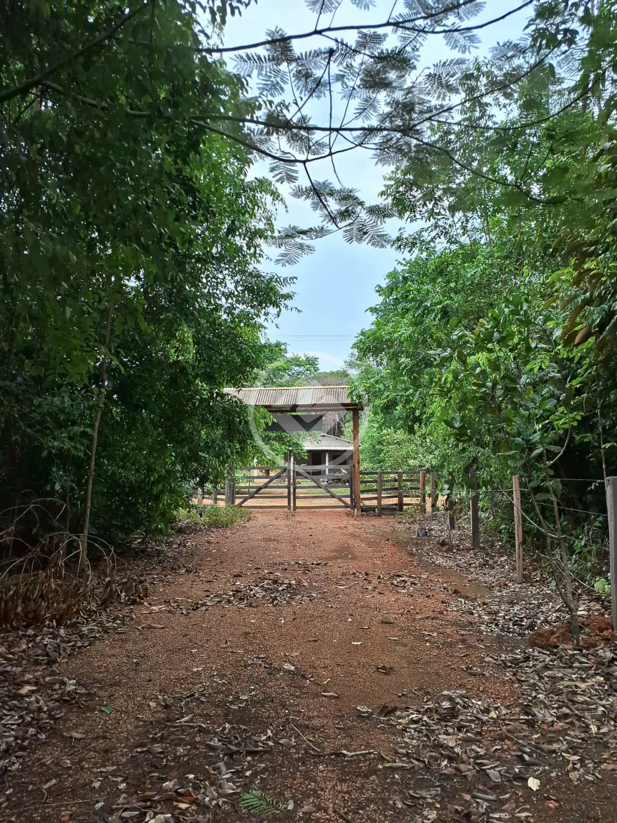 Chácara ZONA RURAL, Santa Carmem - MT — foto 1