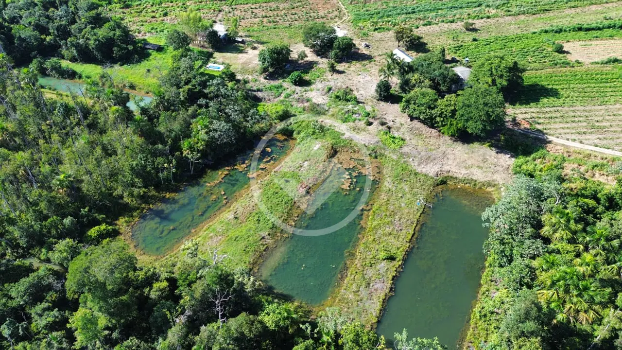 Imagem 4 - Sítio em Zona Rural, Vera - MT