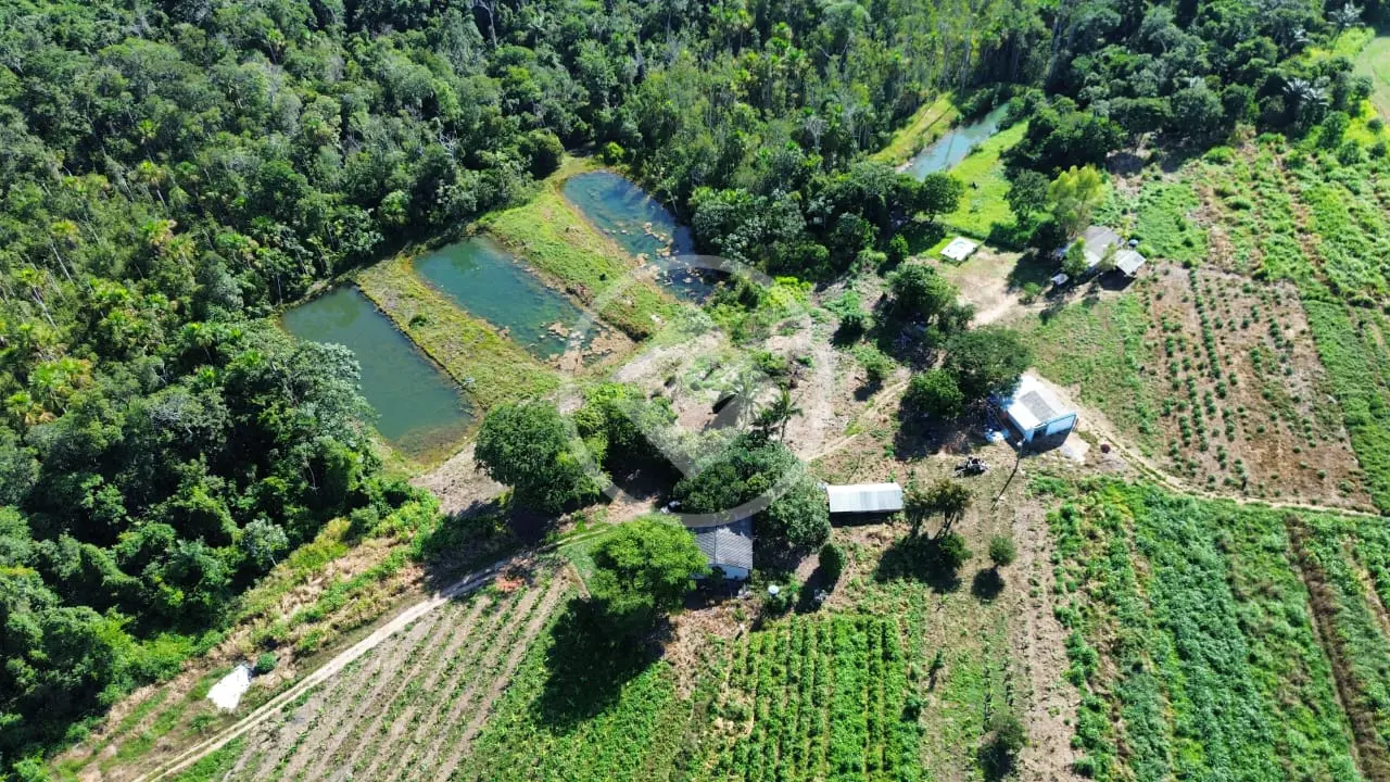 Imagem 3 - Sítio em Zona Rural, Vera - MT