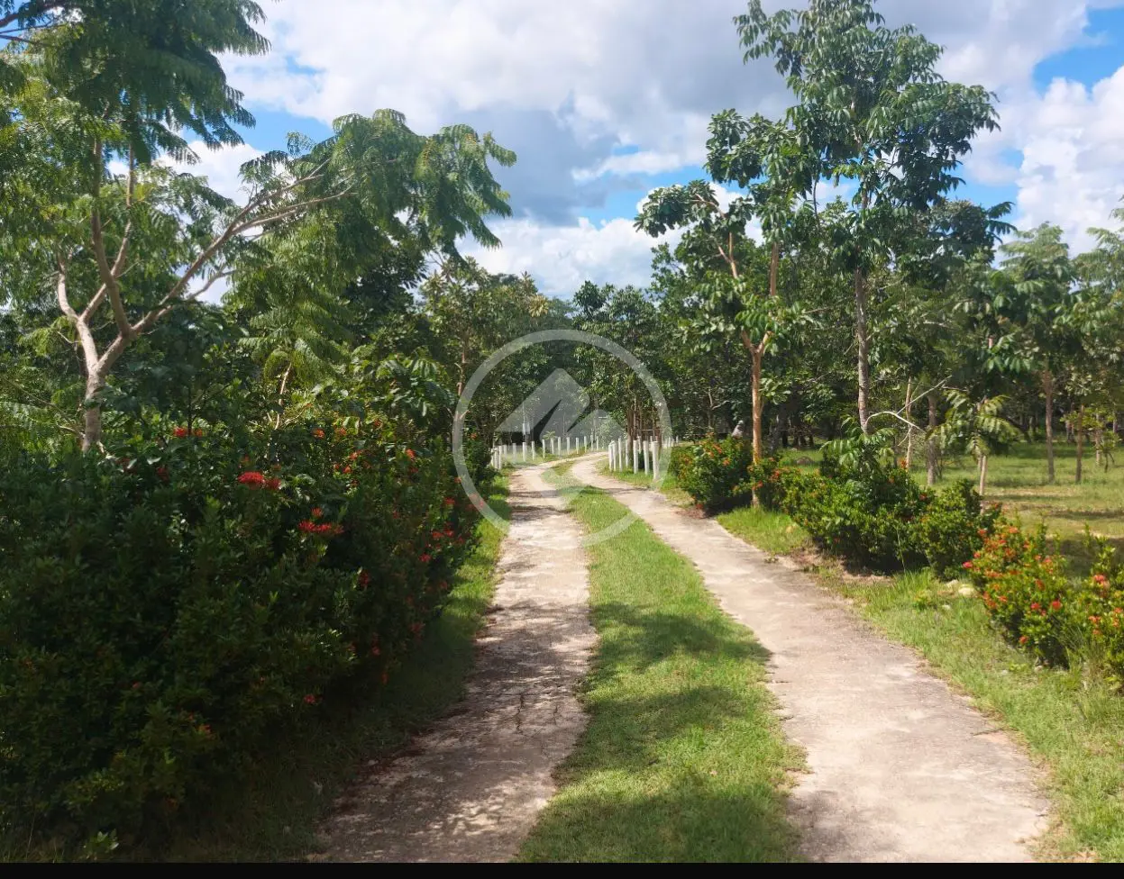 Imagem 2 - Chácara em COXIPO DO OURO, Cuiabá - MT
