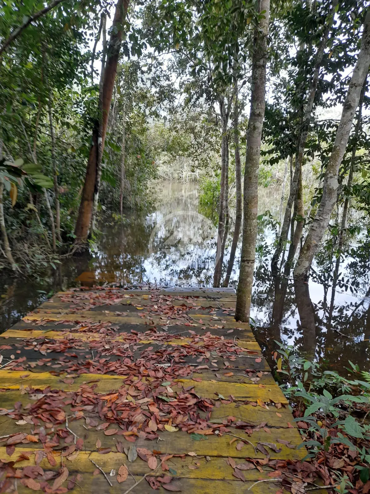 Imagem 5 - Chácara em ZONA RURAL, Santa Carmem - MT