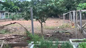 Imagem 6 - Chácara em Setor Residencial Sul, Sinop - MT