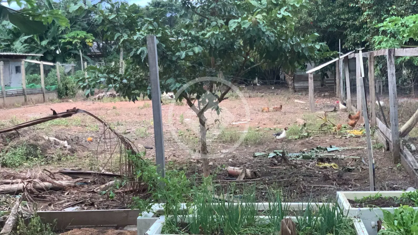 Imagem 6 - Chácara em Setor Residencial Sul, Sinop - MT