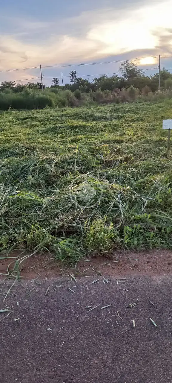 Imagem 1 - Terreno em Sonhalto Videira, Sinop - MT