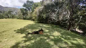 Imagem 2 - Terreno Condomínio em Cuiabá, Petrópolis - RJ