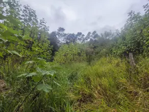 Imagem 6 - Terreno Condomínio em Fazenda Alpina, Teresópolis - RJ
