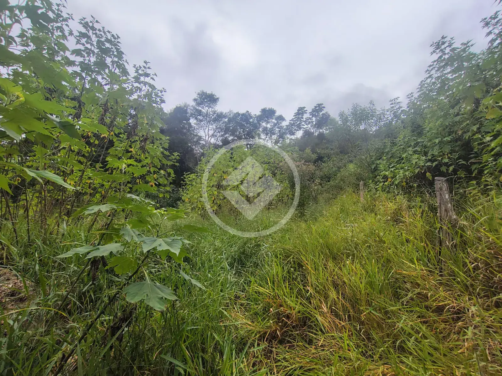 Imagem 6 - Terreno Condomínio em Fazenda Alpina, Teresópolis - RJ