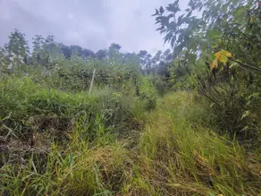 Imagem 3 - Terreno Condomínio em Fazenda Alpina, Teresópolis - RJ