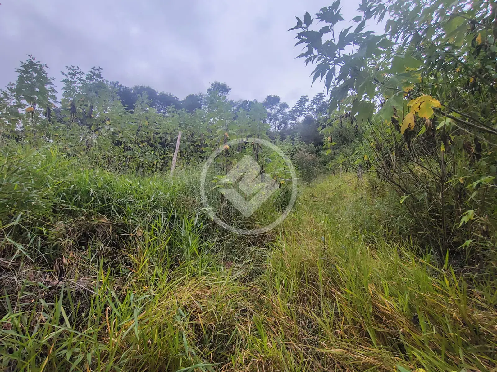 Imagem 3 - Terreno Condomínio em Fazenda Alpina, Teresópolis - RJ