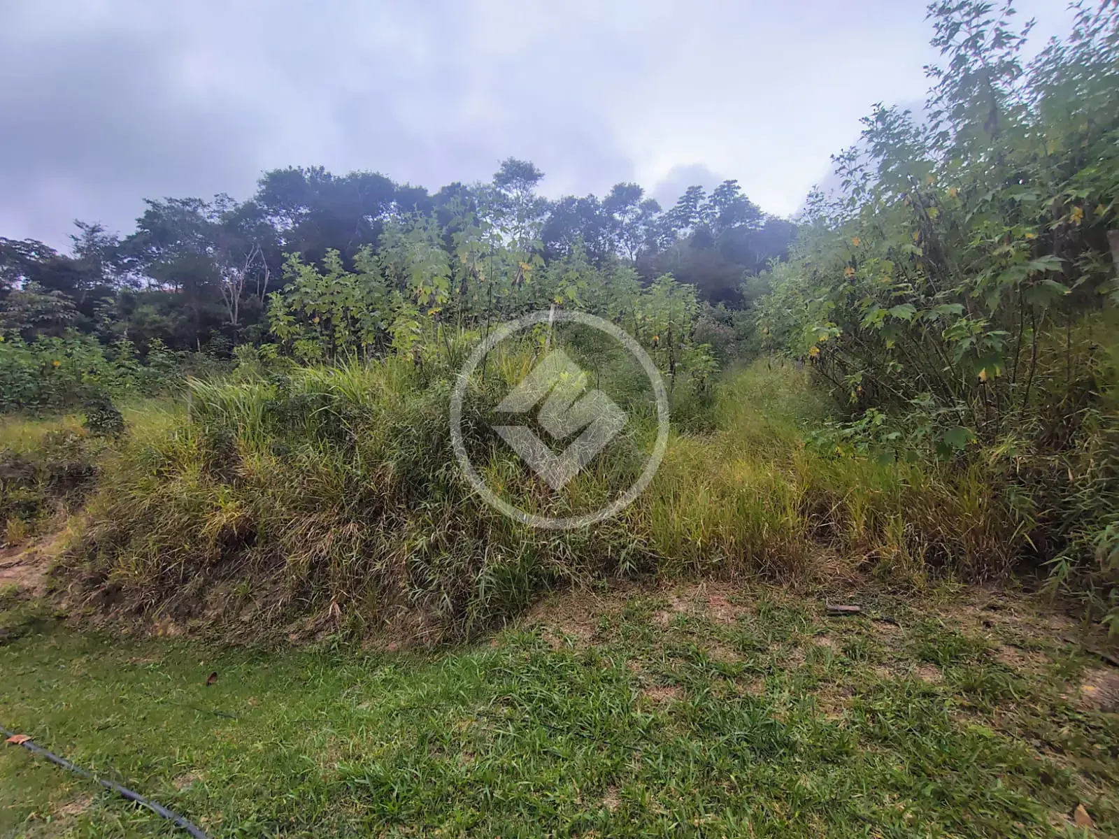 Imagem 1 - Terreno Condomínio em Fazenda Alpina, Teresópolis - RJ