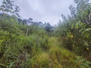 Imagem 4 - Terreno Condomínio em Fazenda Alpina, Teresópolis - RJ