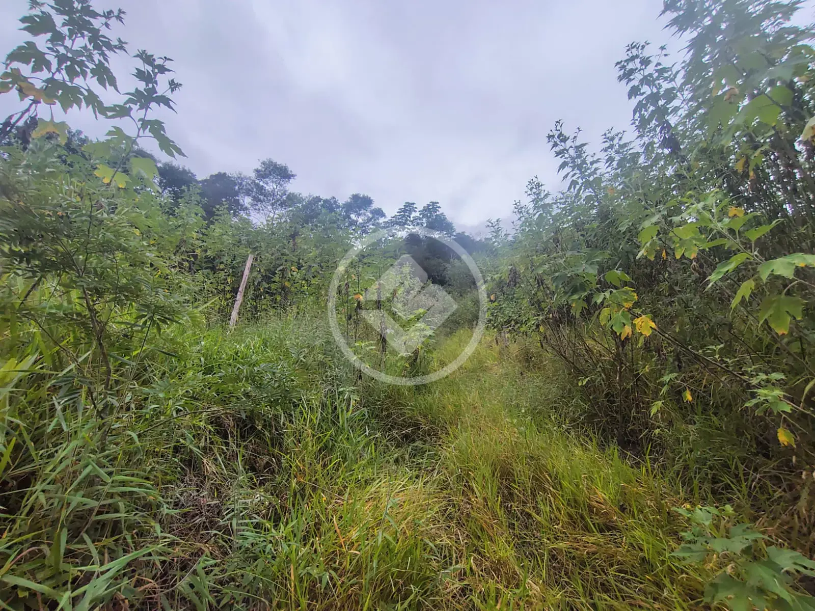 Imagem 4 - Terreno Condomínio em Fazenda Alpina, Teresópolis - RJ