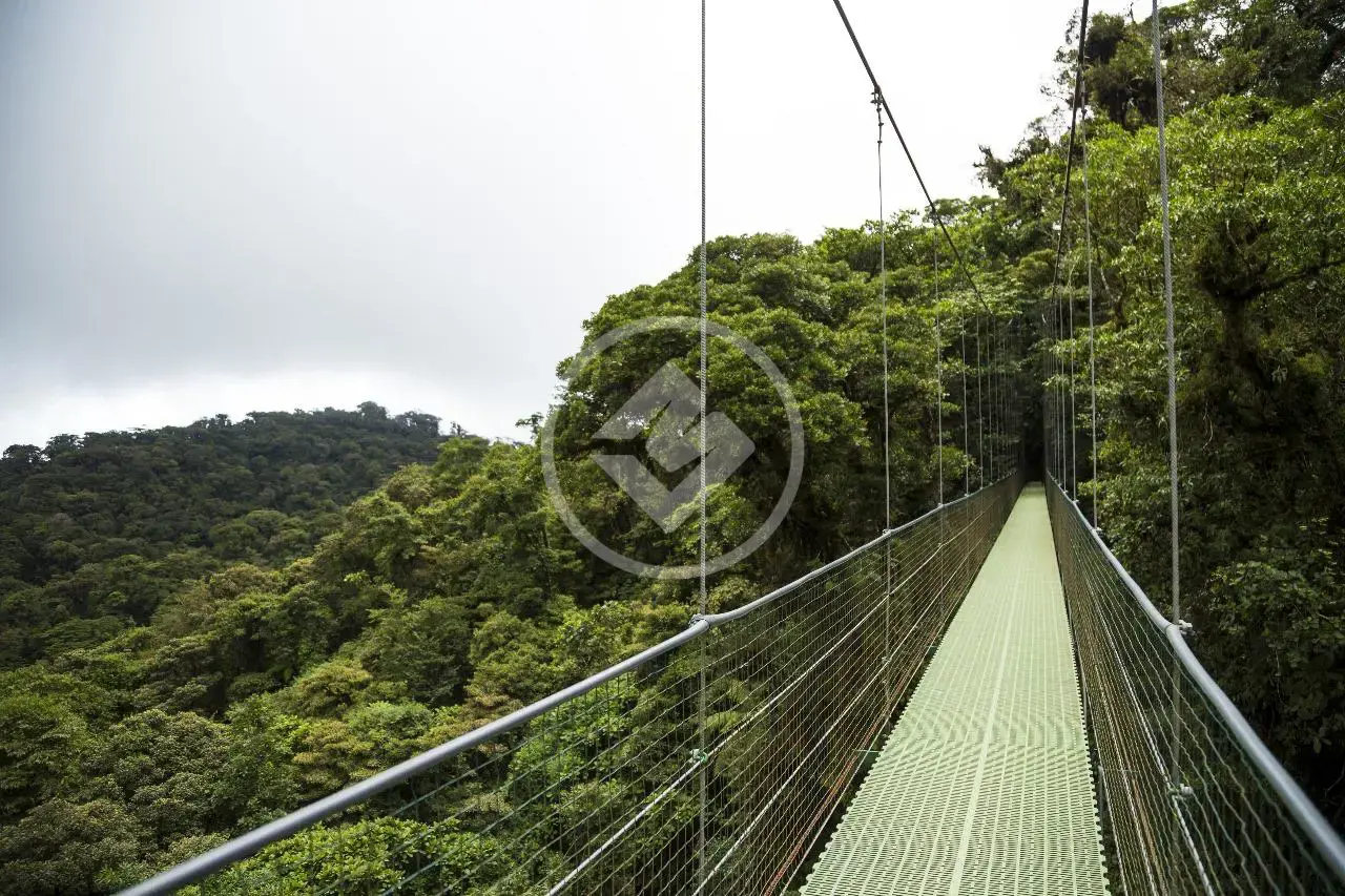 Image 30 - Loja em Várzea, Teresópolis - RJ