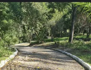 Sítio Vale das Pedrinhas, Guapimirim - RJ — foto 2