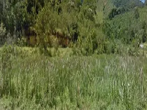 Terreno Condomínio Fazenda Alpina, Teresópolis - RJ — foto 2