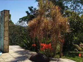 Imagem 2 - Sítio em Vale das Pedrinhas, Guapimirim - RJ