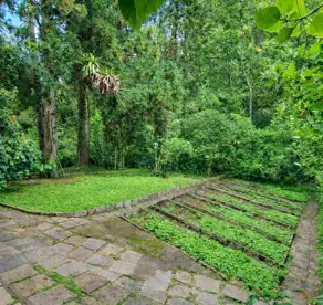 Imagem 3 - Casa em Albuquerque, Teresópolis - RJ