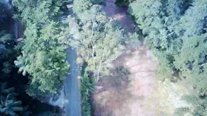 Imagem 6 - Terreno em Albuquerque, Teresópolis - RJ