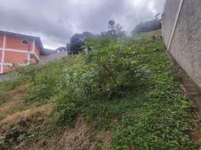 Imagem 4 - Terreno em Prata, Teresópolis - RJ