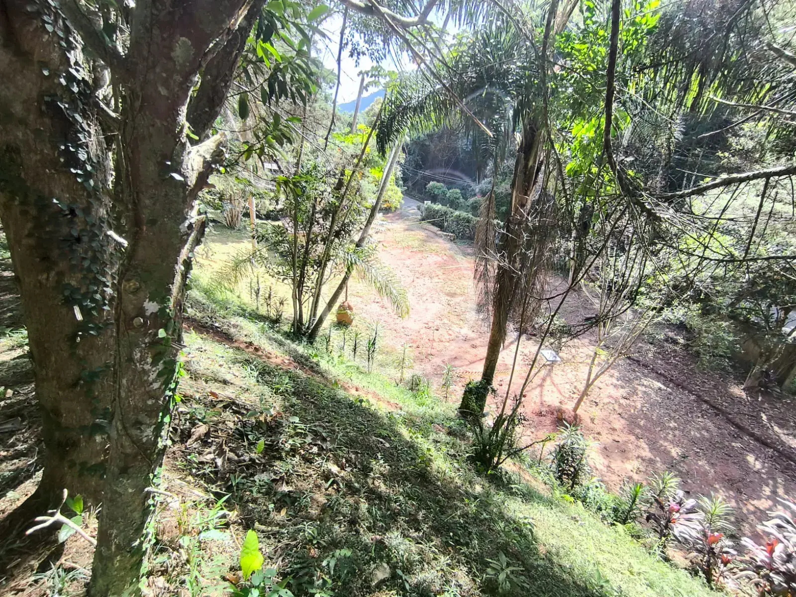 Imagem 1 - Terreno em Albuquerque, Teresópolis - RJ