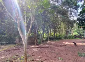 Imagem 3 - Terreno em Albuquerque, Teresópolis - RJ