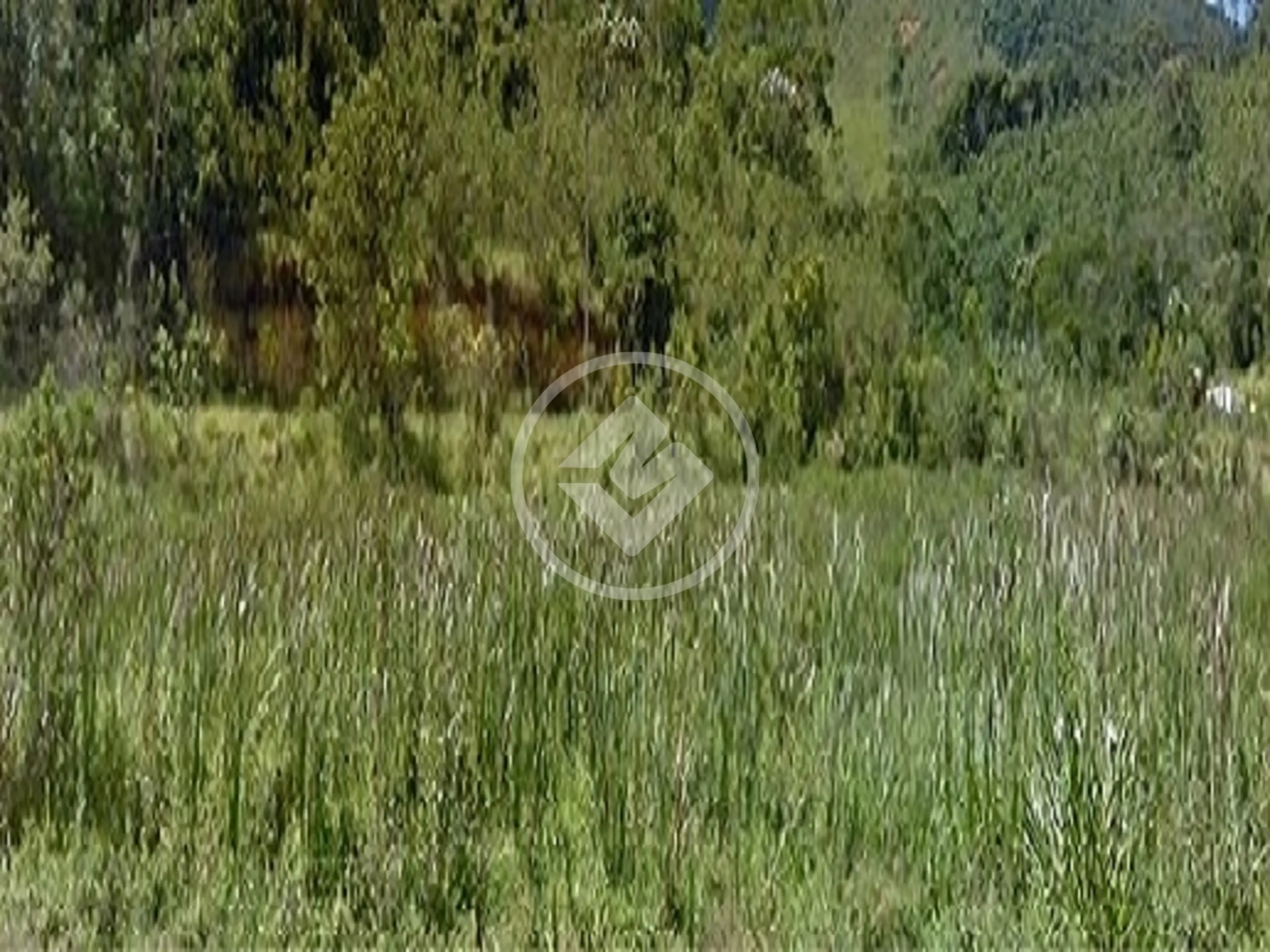 Imagem 1 - Terreno Condomínio em Fazenda Alpina, Teresópolis - RJ
