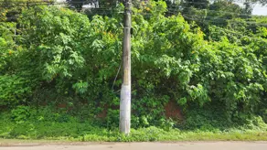 Imagem 6 - Terreno em Granja Guarani, Teresópolis - RJ