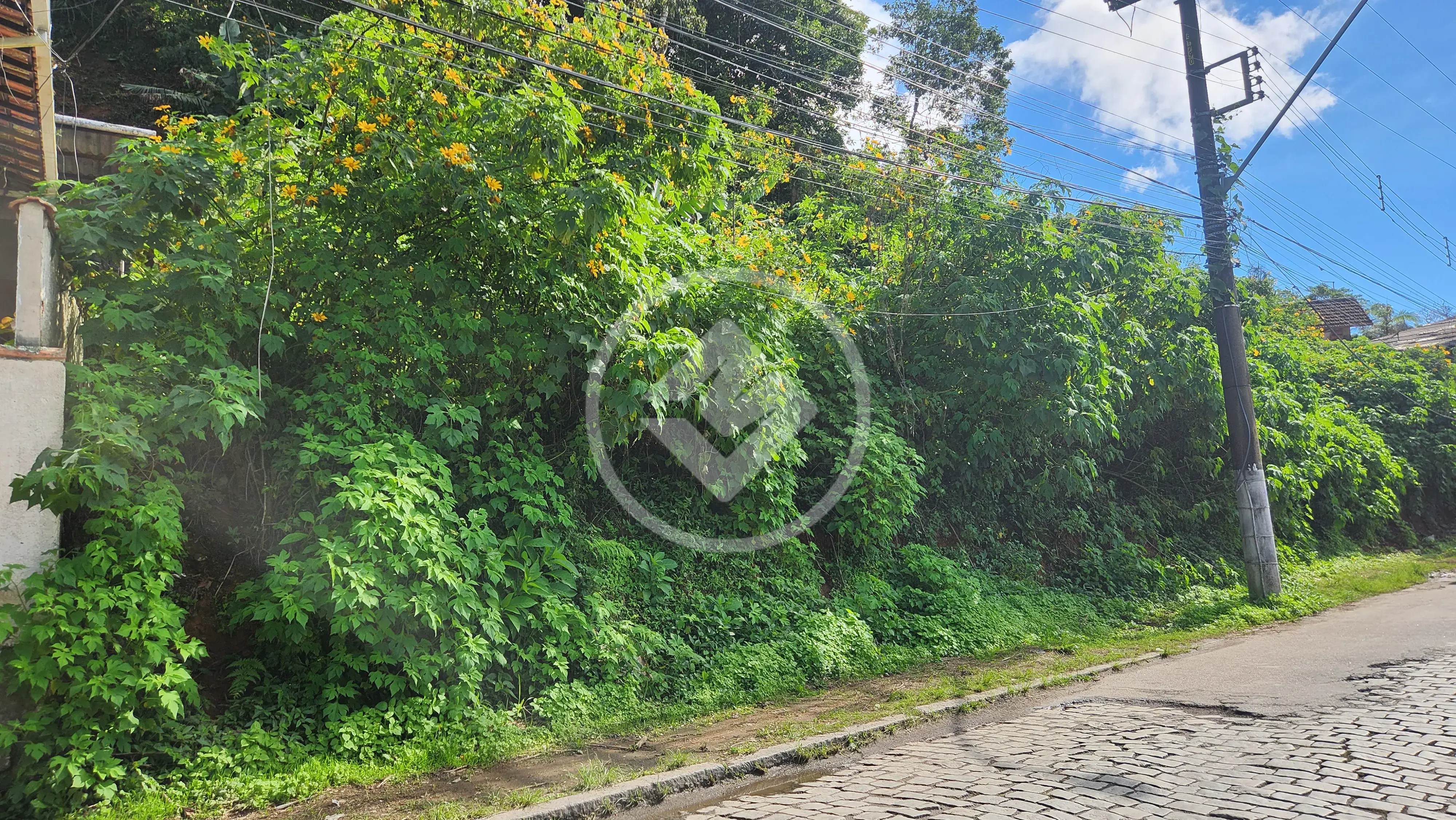 Imagem 4 - Terreno em Granja Guarani, Teresópolis - RJ