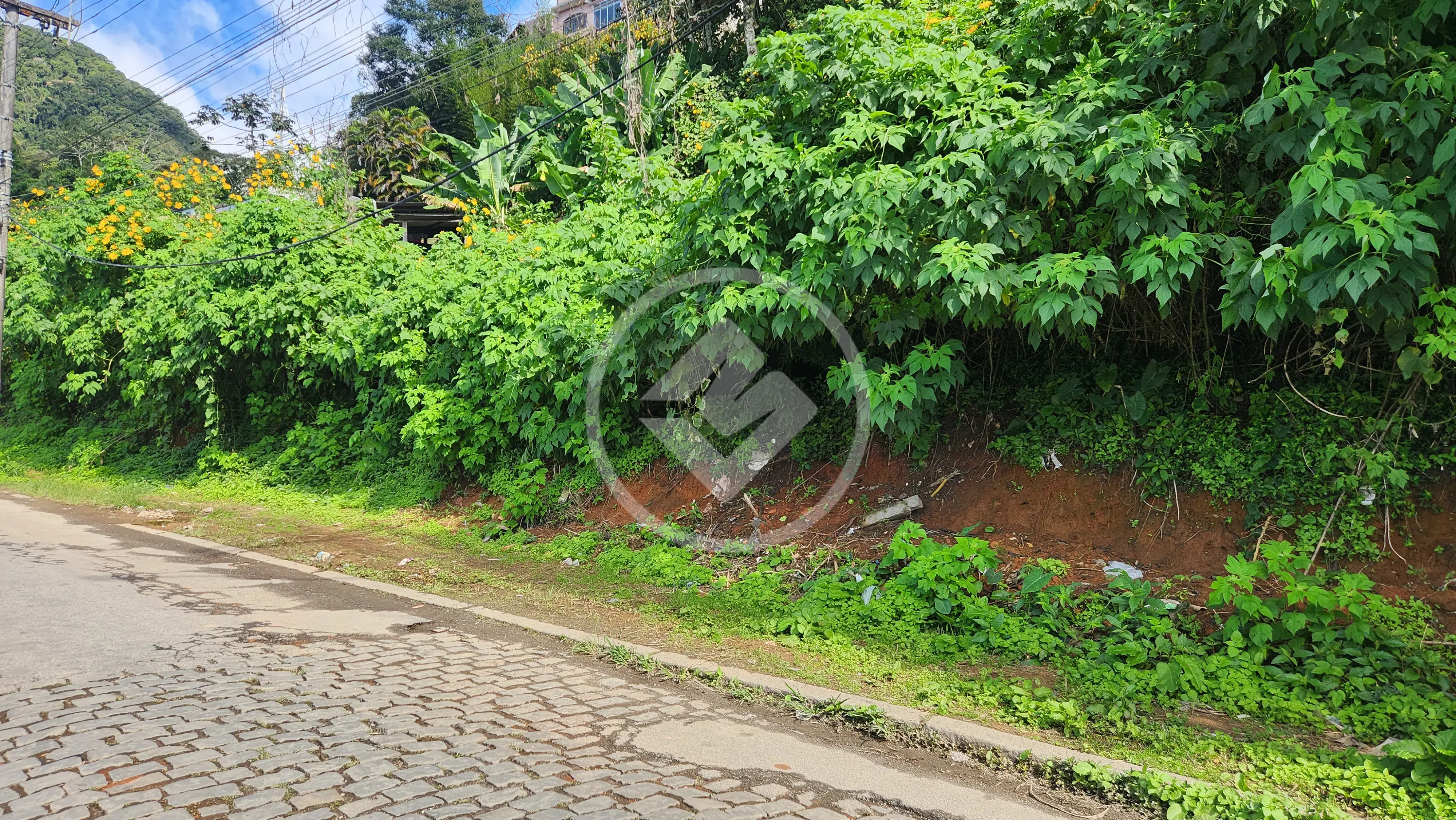 Imagem 1 - Terreno em Granja Guarani, Teresópolis - RJ