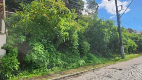 Imagem 6 - Terreno em Granja Guarani, Teresópolis - RJ