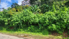 Imagem 4 - Terreno em Granja Guarani, Teresópolis - RJ