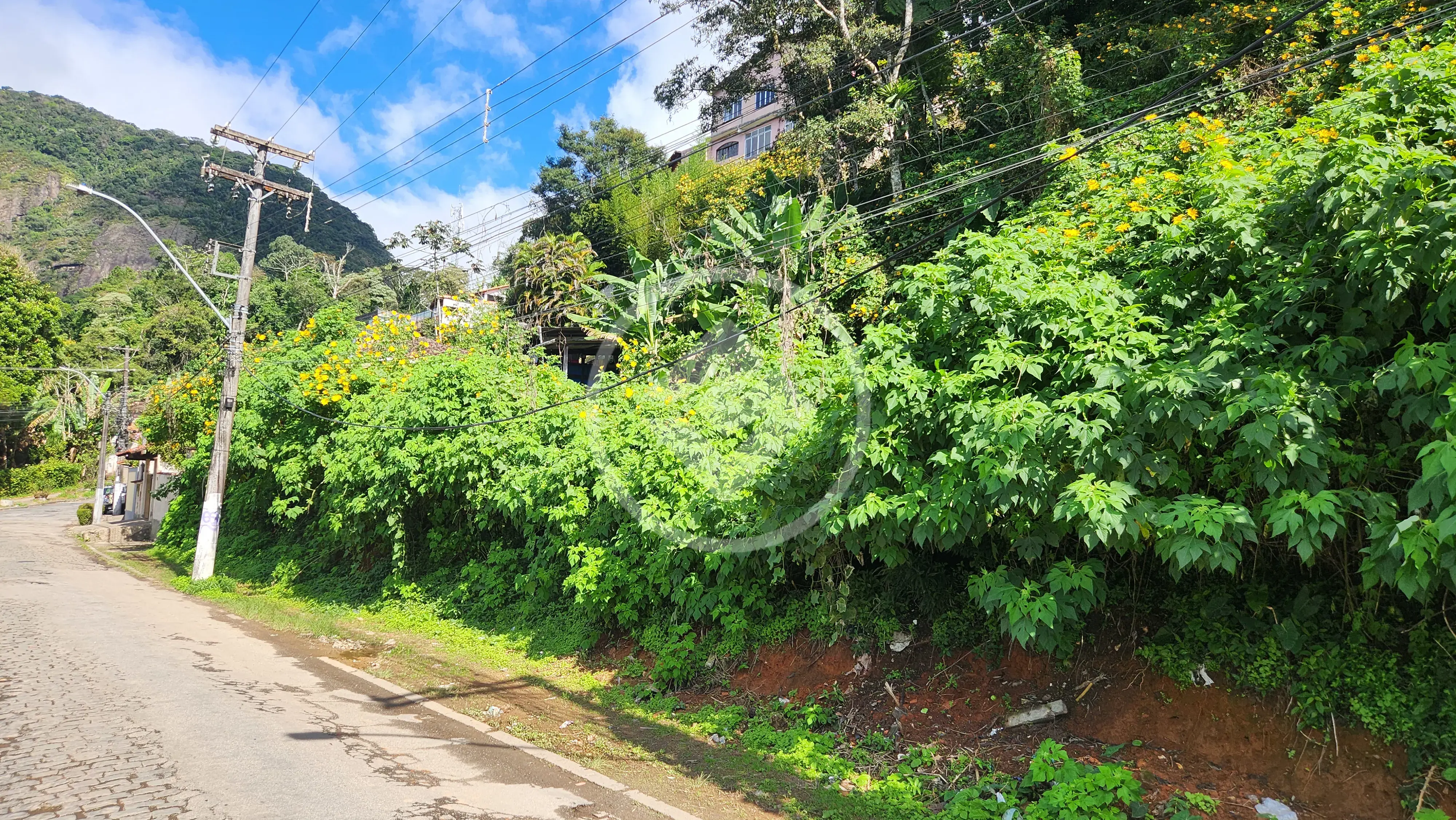 Imagem 1 - Terreno em Granja Guarani, Teresópolis - RJ