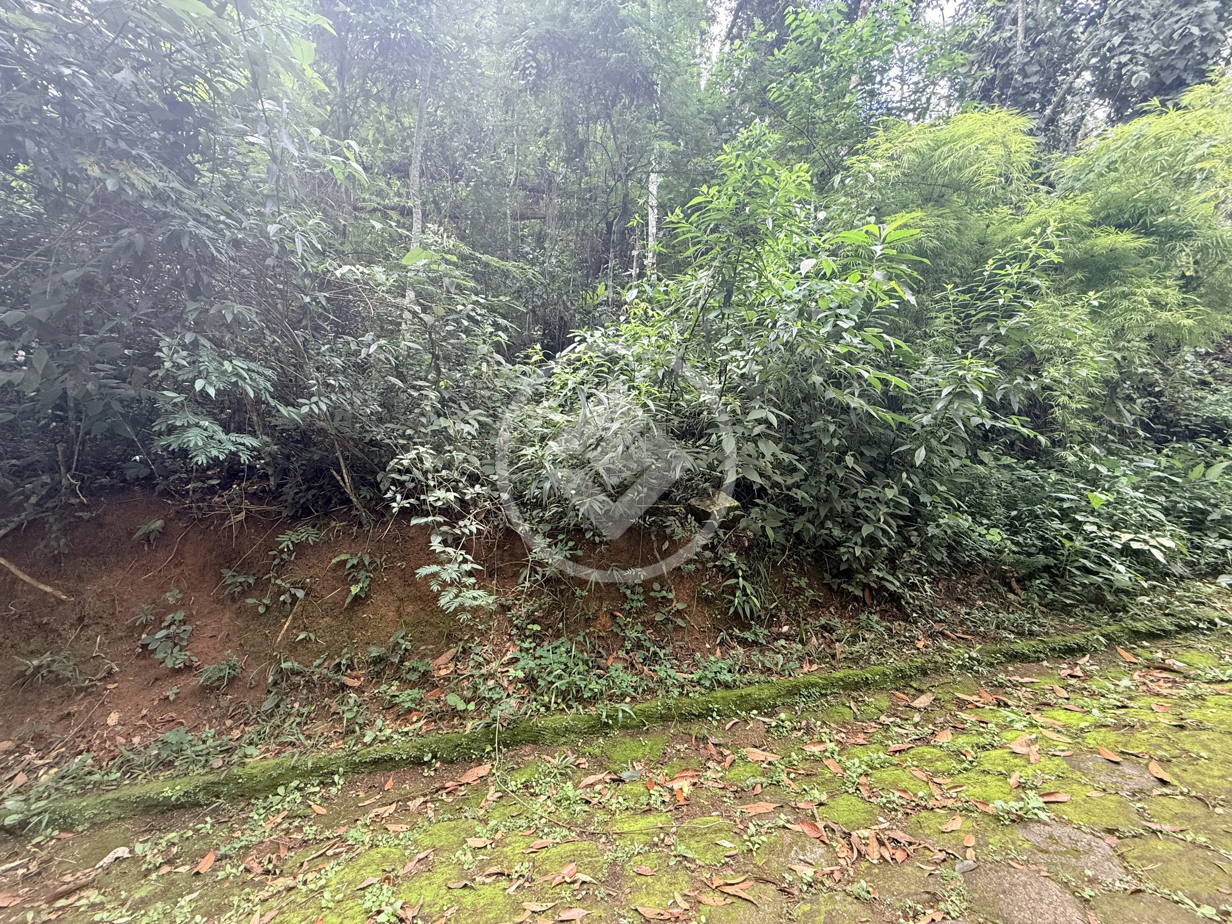 Image 46 - Casa Condomínio em Prata, Teresópolis - RJ
