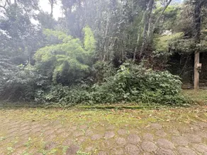 Imagem 4 - Terreno Condomínio em Prata, Teresópolis - RJ