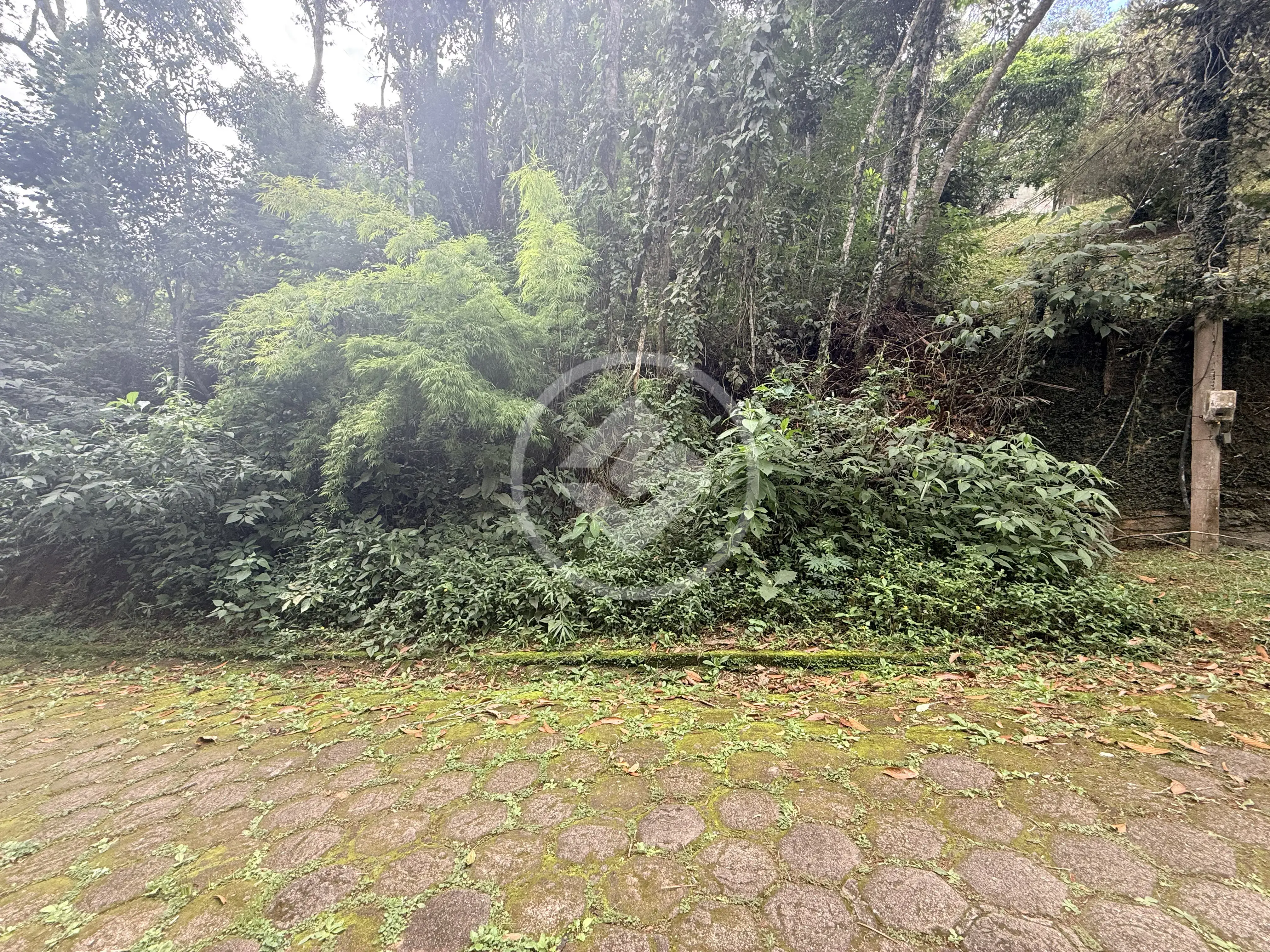 Imagem 4 - Terreno Condomínio em Prata, Teresópolis - RJ