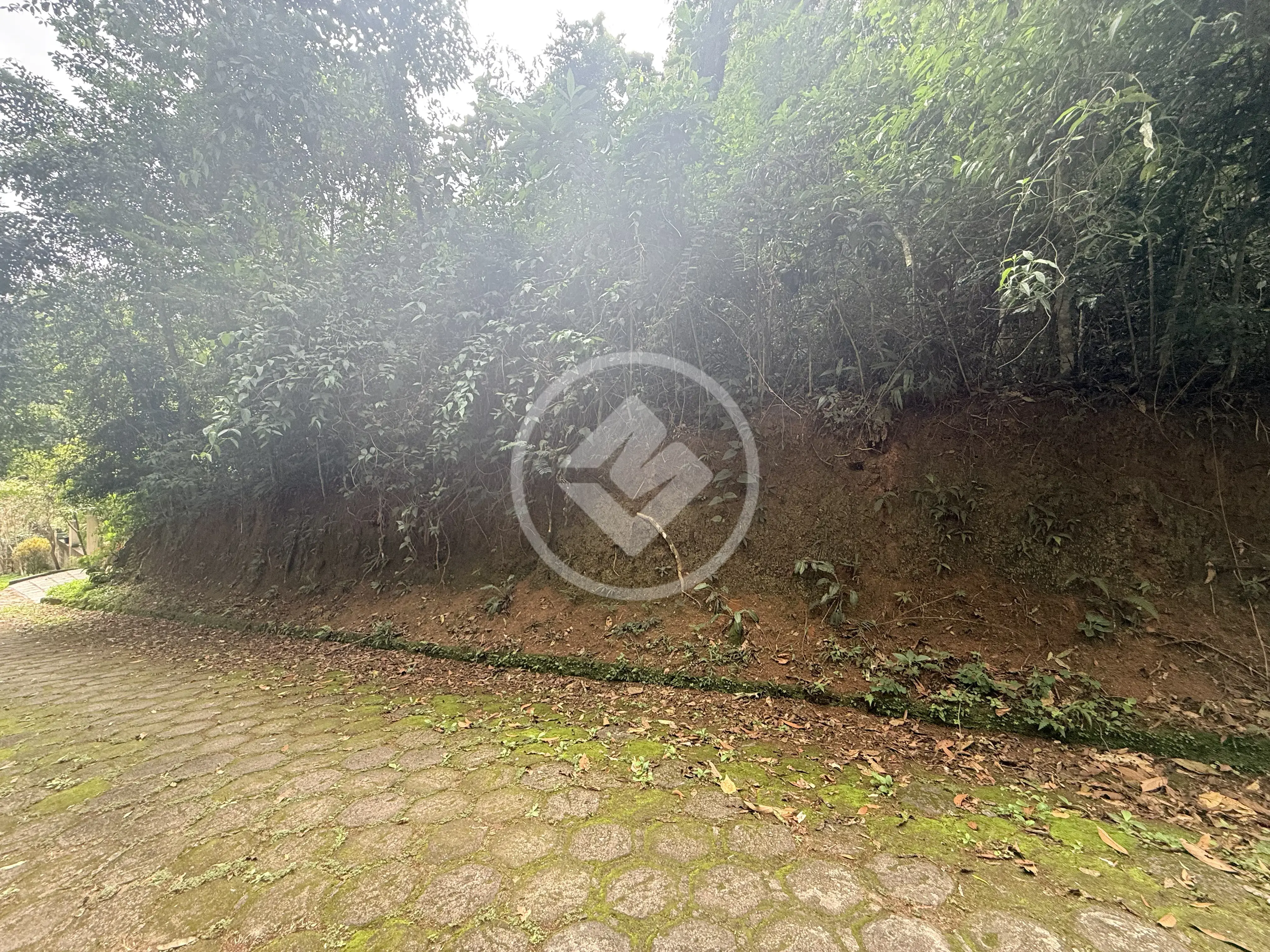 Imagem 1 - Terreno Condomínio em Prata, Teresópolis - RJ