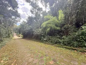 Imagem 2 - Terreno Condomínio em Prata, Teresópolis - RJ